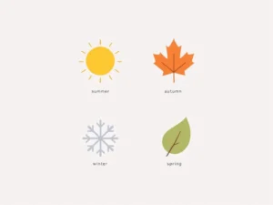 Vier geometrische vormen voor seizoenen met cameralens iconen: zon, esdoornblad, sneeuwvlok en groen blad in grid